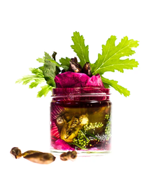 Krem HIBISKUS + PĄKI TOPOLI 30 ml