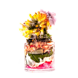 Krem z żywicy KANARECZNIKA i polskich kwiatów 30 ml