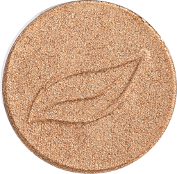 Połyskujący cień do powiek SZAMPAN 01